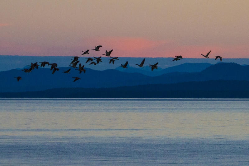 British Columbia-0321