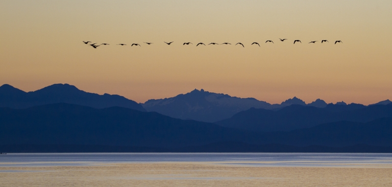 British Columbia-0376