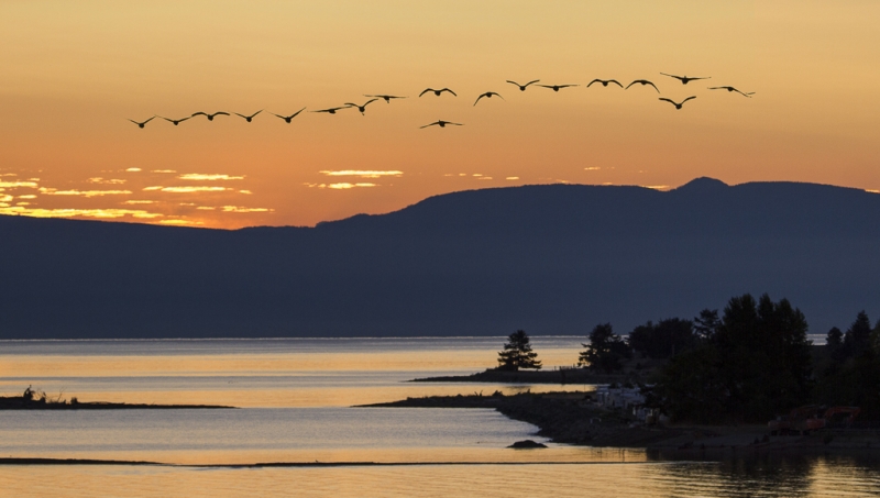 British Columbia-0552-Edit