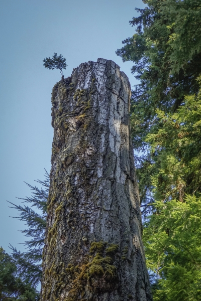 _DSC0010