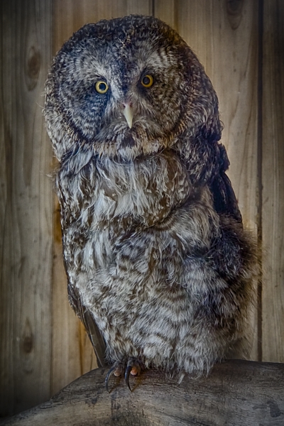 _DSC0096_HDR