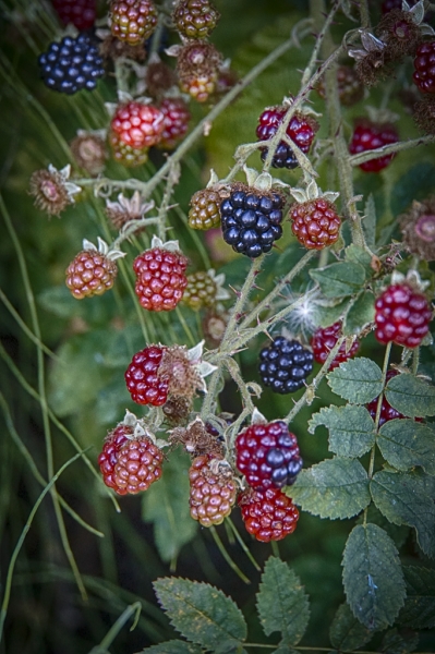 _DSC0126_HDR