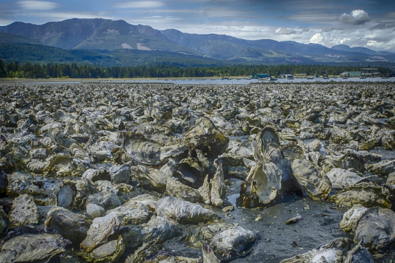 _DSC0334_HDR