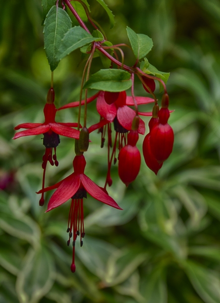_DSC0451_HDR