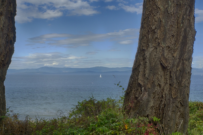 _DSC0502_HDR