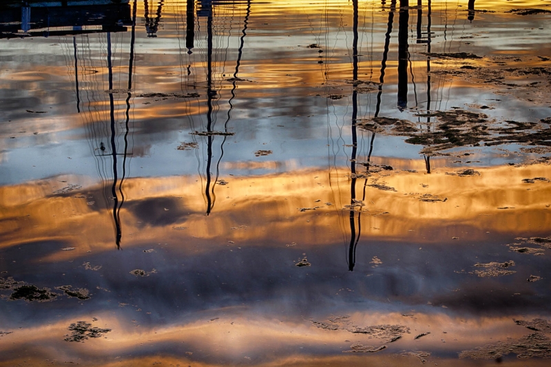 _DSC2658-Edit