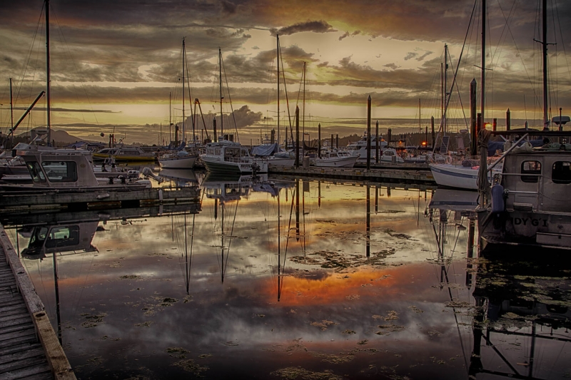 _DSC2665-Edit