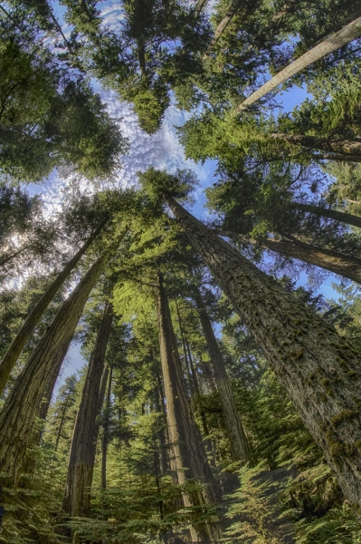 _DSC9885_HDR-Edit