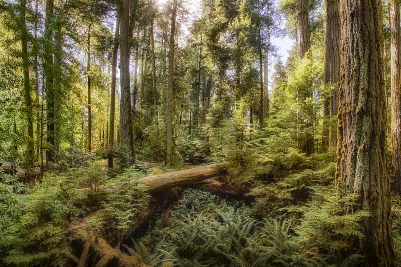 _DSC9888_HDR-Edit
