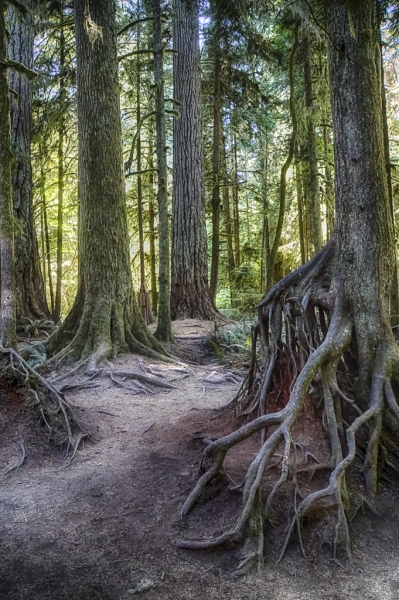 _DSC9978_HDR-Edit