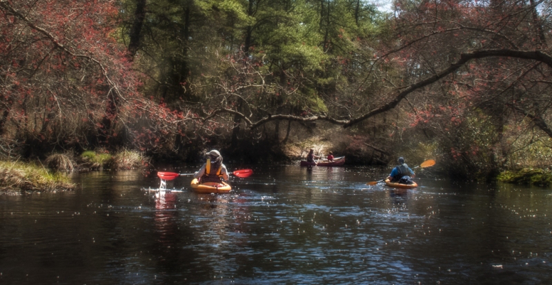 Wading-River-923