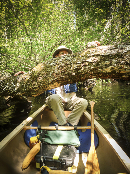 wading-river-1020270