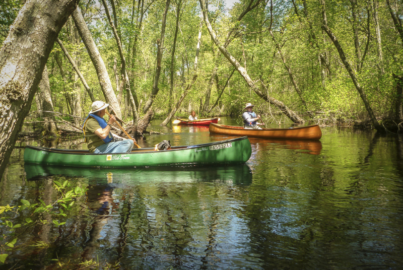 wading-river-1020281