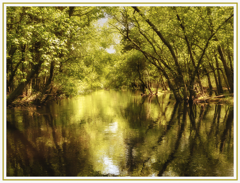 wading-river-4