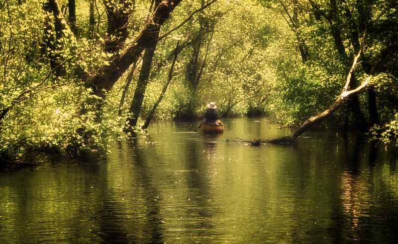 wading-river