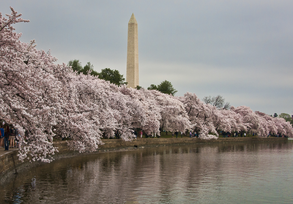 Washington DC-9520-Edit