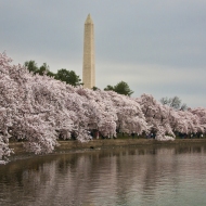 Washington DC-9520-Edit