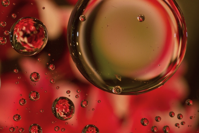 droplets-3455