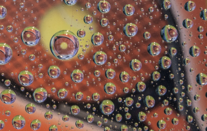 water-drops-40d-2839