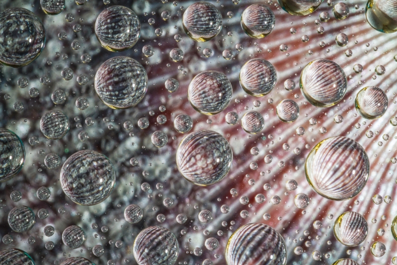 water-drops-8569