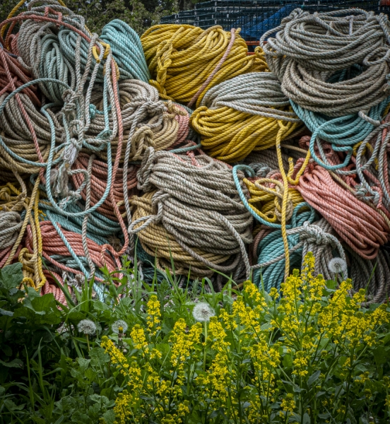 untitled-04292 - Copy