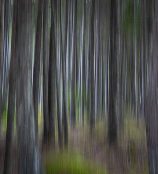 untitled-04427