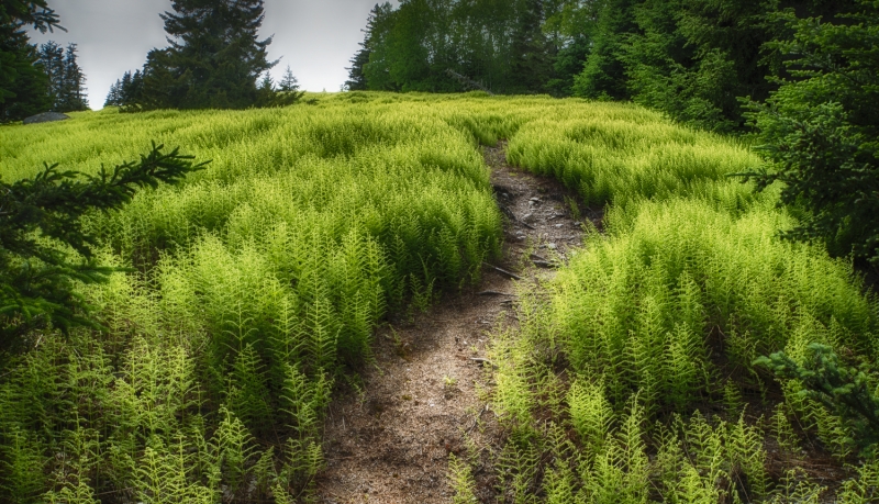 untitled-05141_HDR-Edit