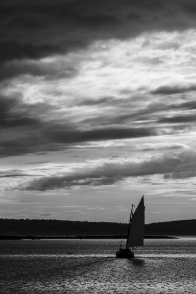 untitled-4147