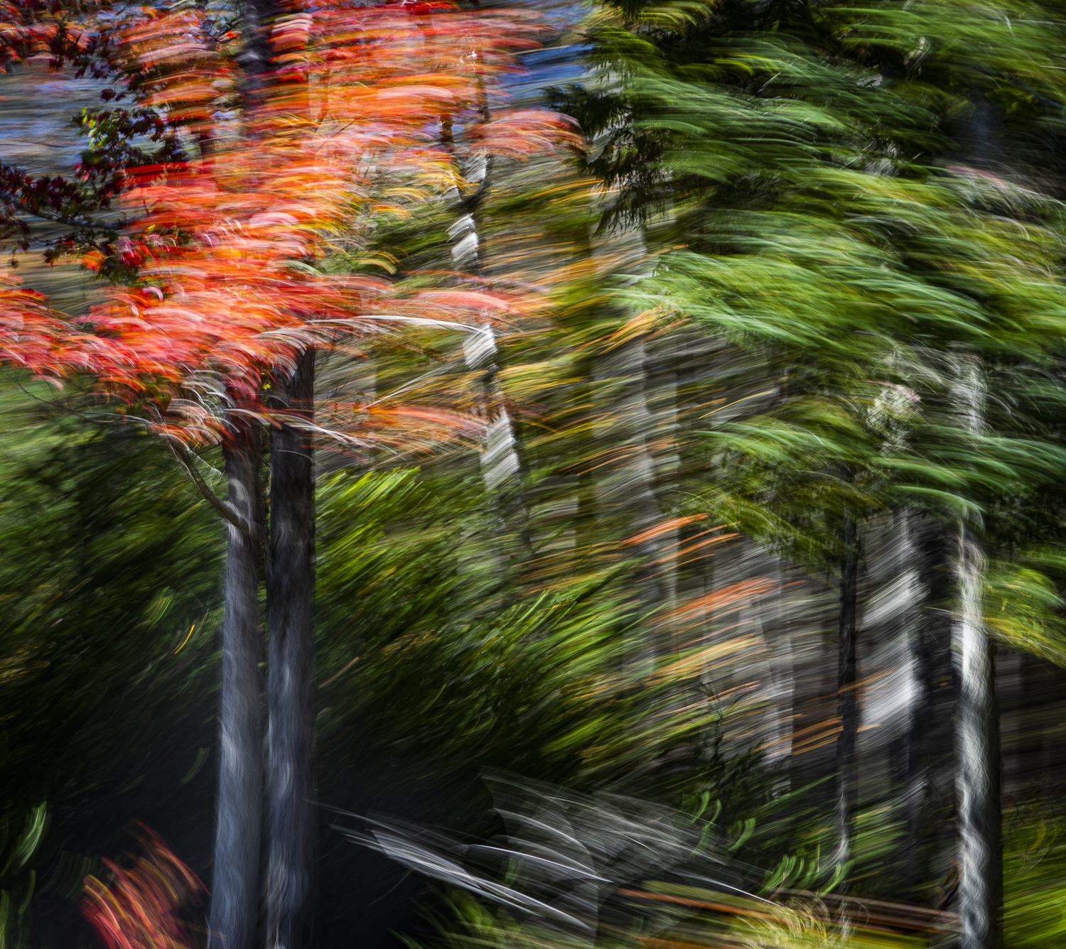 Motion Photography Capture The MomentCapture The Moment